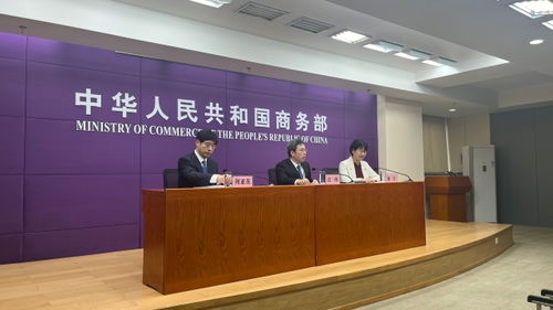 中非经贸深度合作先行区助力非洲产业现代化